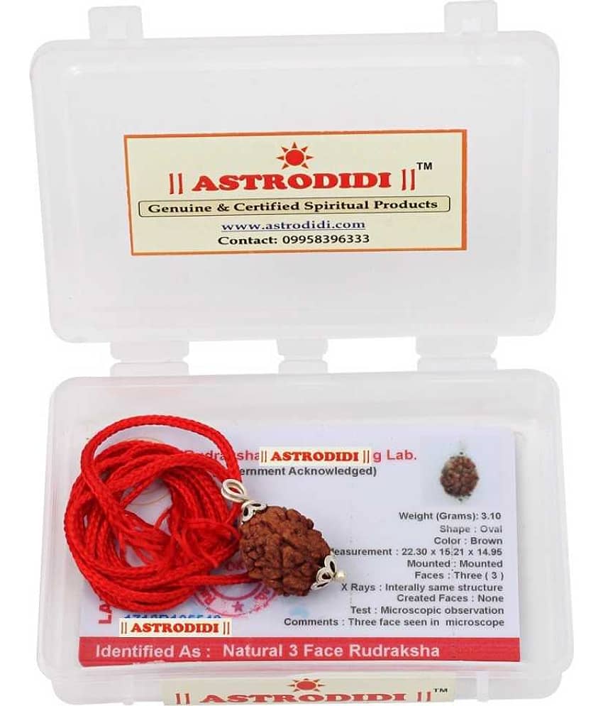 Astrodidi 3 Mukhi Rudraksha Pendant With Lab Report Certificate view 2