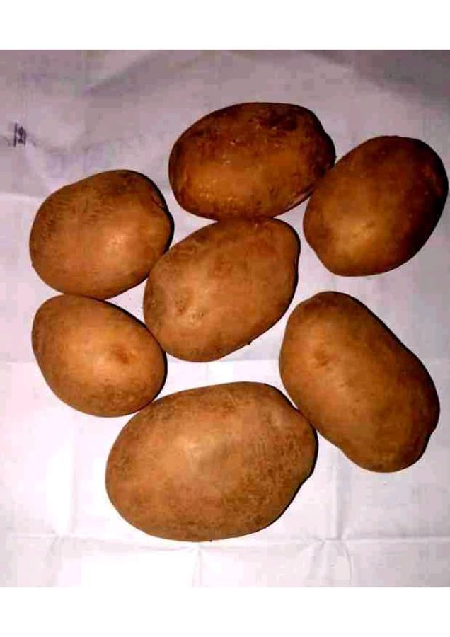 Potato - 1 kg view 2