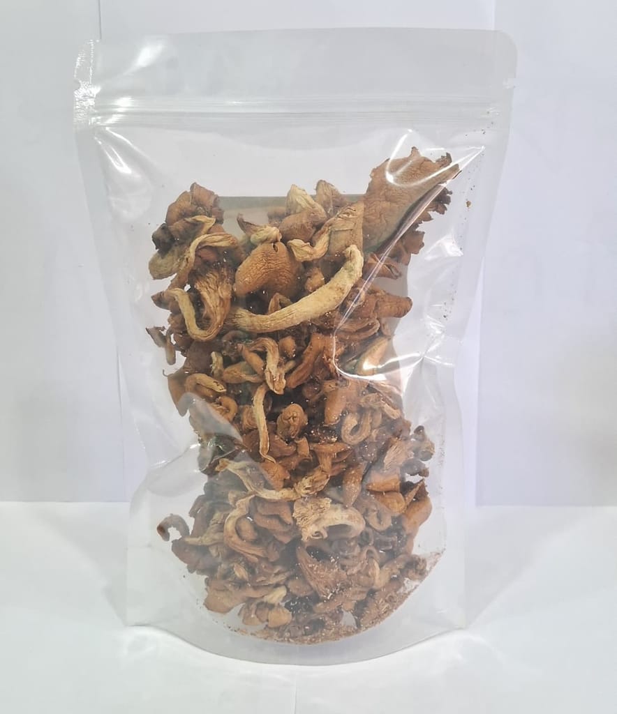 Dry Oyster Mushroom view 2