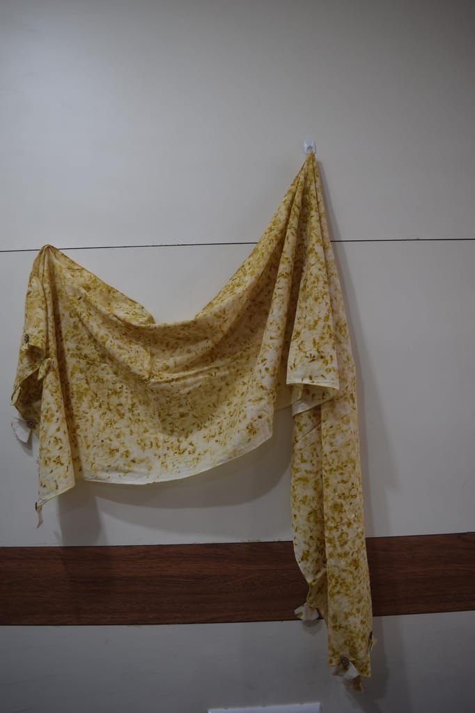 Eco Printed Cotton Stole, Natural Dyed Pattern, Traditional Indian Design view 2