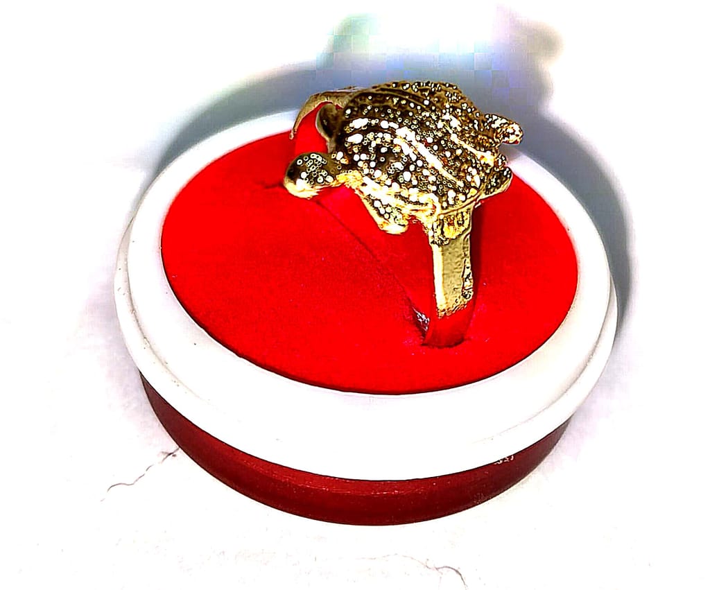 "Exquisite Golden Turtle Ring - A Symbol of Luck and Longevity" view 2