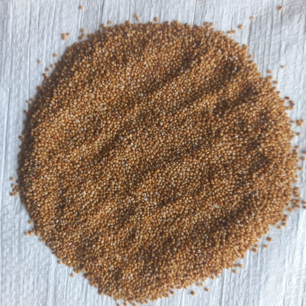 Kodo Millet Grains ( Unpolished grains ) view 2