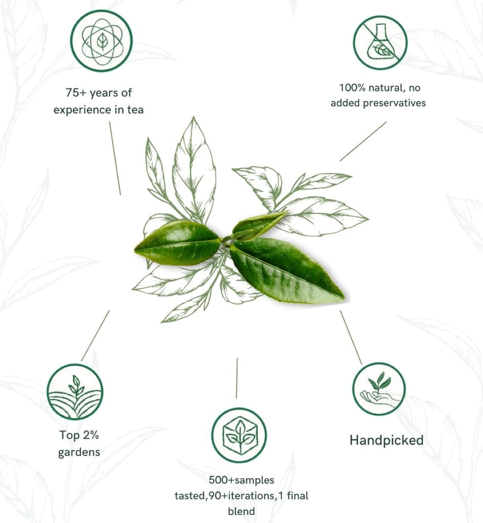 1950 Origins Combo Pack-Assam Symphony&Regal Harmony|100% Natural Loose Leaf Tea|Assorted Black Tea Gift Pack – Premium Assam & Long Leaf Darjeeling Tea|Rich,Strong & Fresh|Tin Caddy, 150 gm X 2 view 2