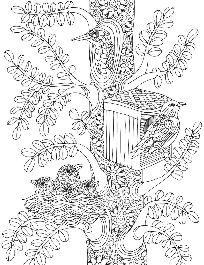 Nature- Colouring Book for Adults [Paperback] Dreamland Publications view 2