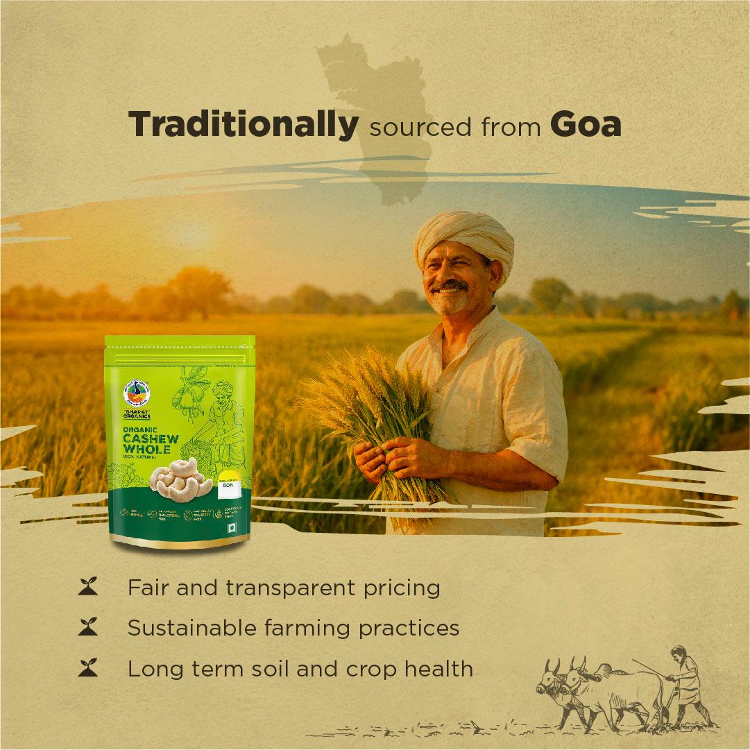 Organic Goan Cashew Whole - Bharat Organics view 2