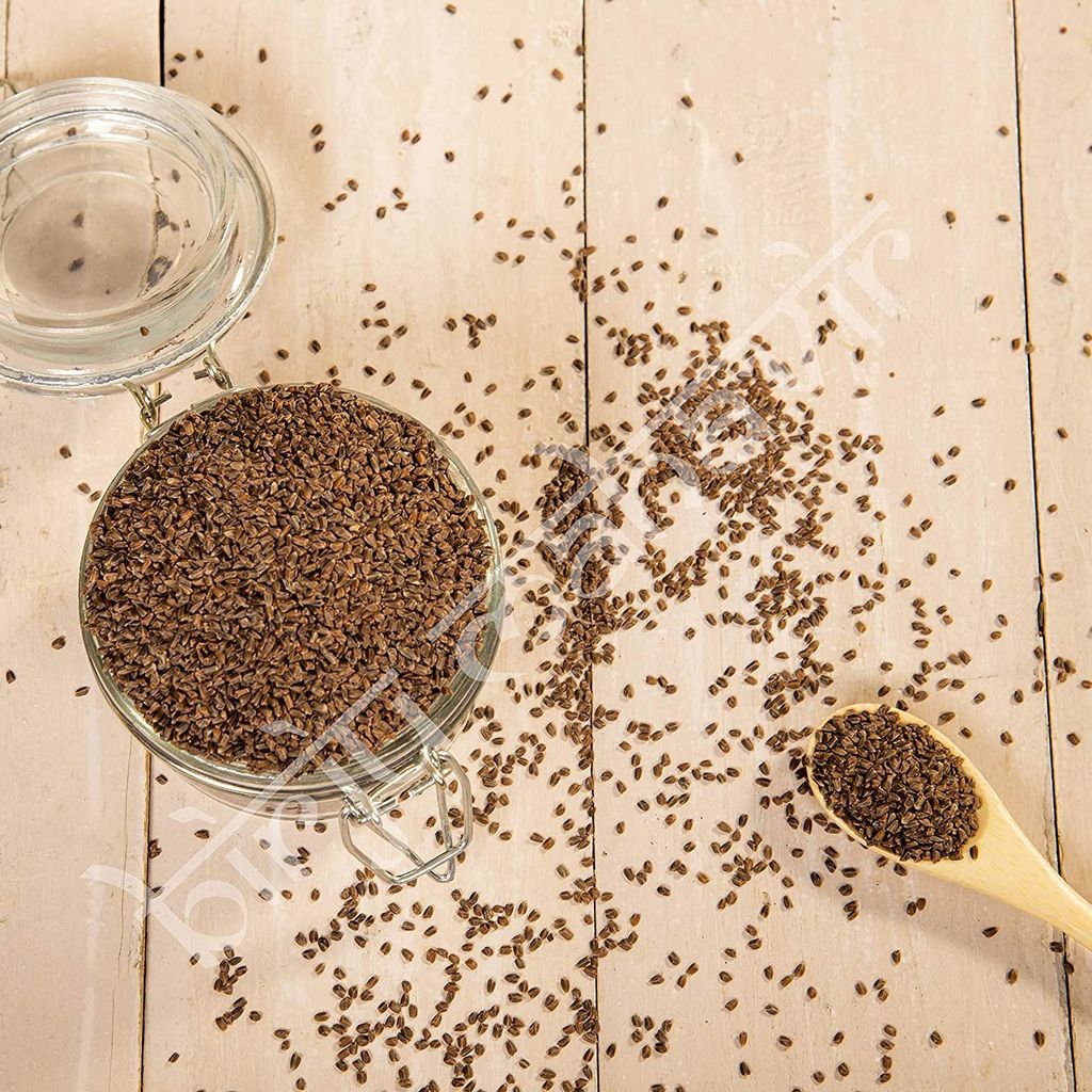 BrijBooti Talmakhana Seed - Astercantha Longifolia view 2
