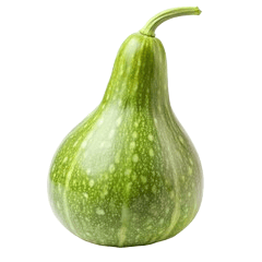 Fresh Ash Gourd view 2