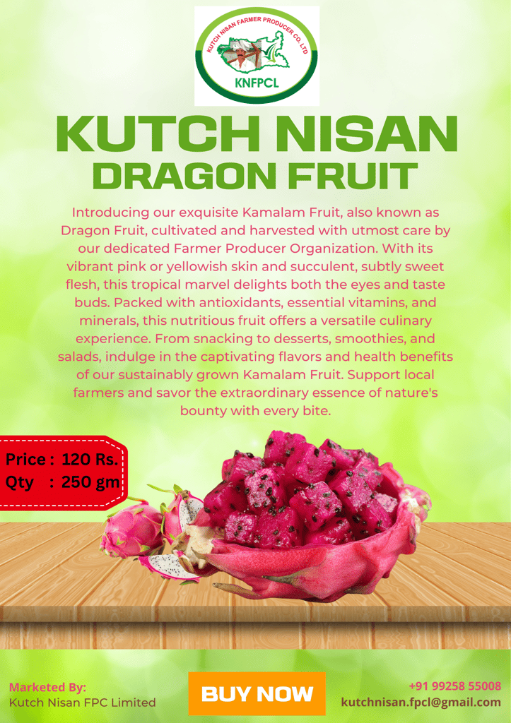 Dragon Fruit view 2