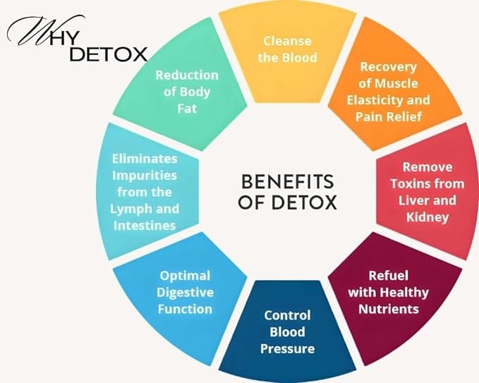 Demystik Lung Detox Tablets with Stinging Nettle & Vasaka Leaves Extract, for Detoxification of Lung, Tar removal, Mucus removal, Helps in respiratory system and Immune Defence - 60 Tablets Veg view 2