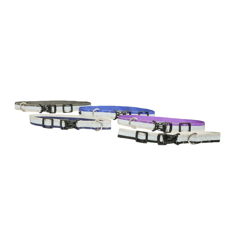 FASHION TRENDY REFLECTING DOG COLLAR (Multicolor) SET OF 5