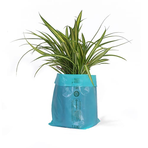 100% Compostable Plant Grow Bags - 6 x12 inches - 80 pcs/kg I Green colour I Pack of 3 KG