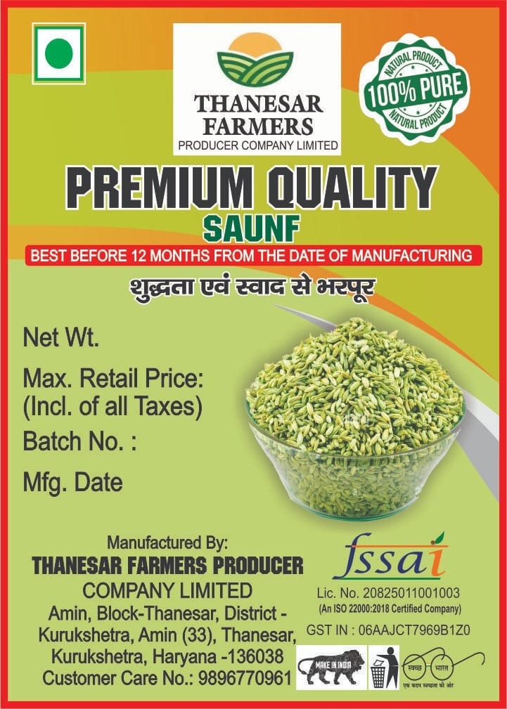 Thanesar Farmers Premium Quality Saunf (Fennel Seeds) 100 gram