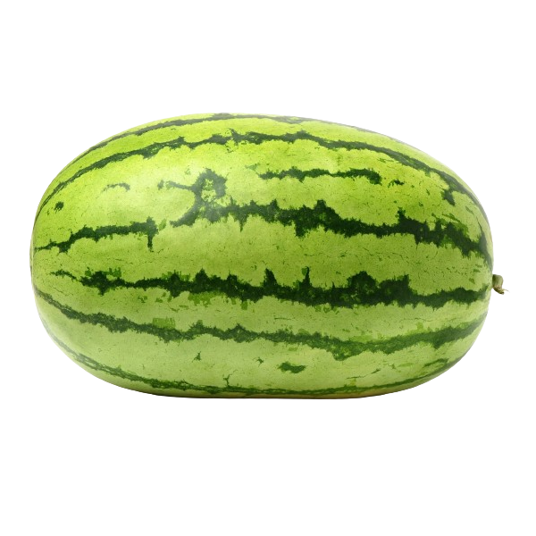 Water Melon