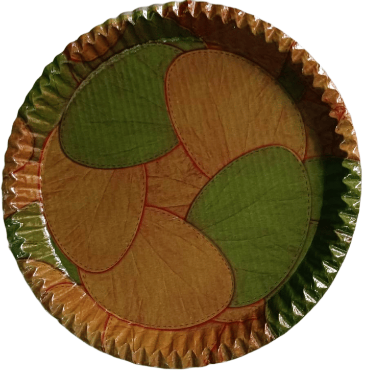 Disposable Paper PlateS view 2