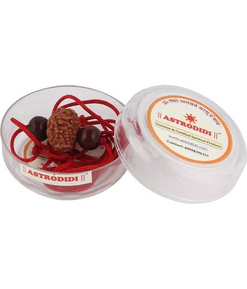 Astrodidi 9 Mukhi Indonesian Java Rudraksha (Small Size) With Red Chandan Beads view 2