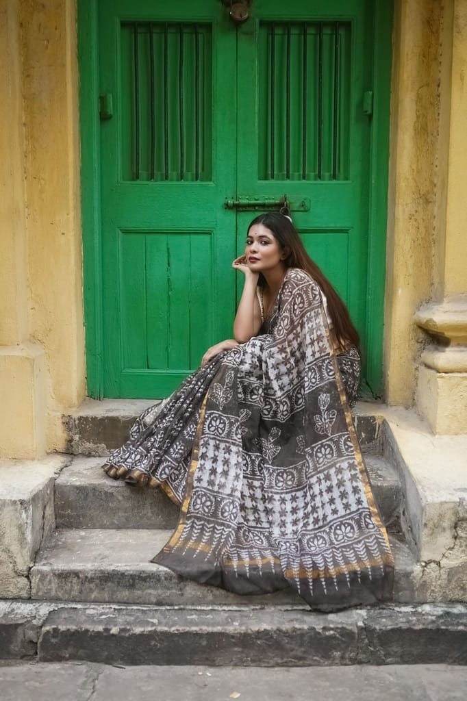 KaisorI Malhar Saira Kota blockprinted cotton silk saree view 2