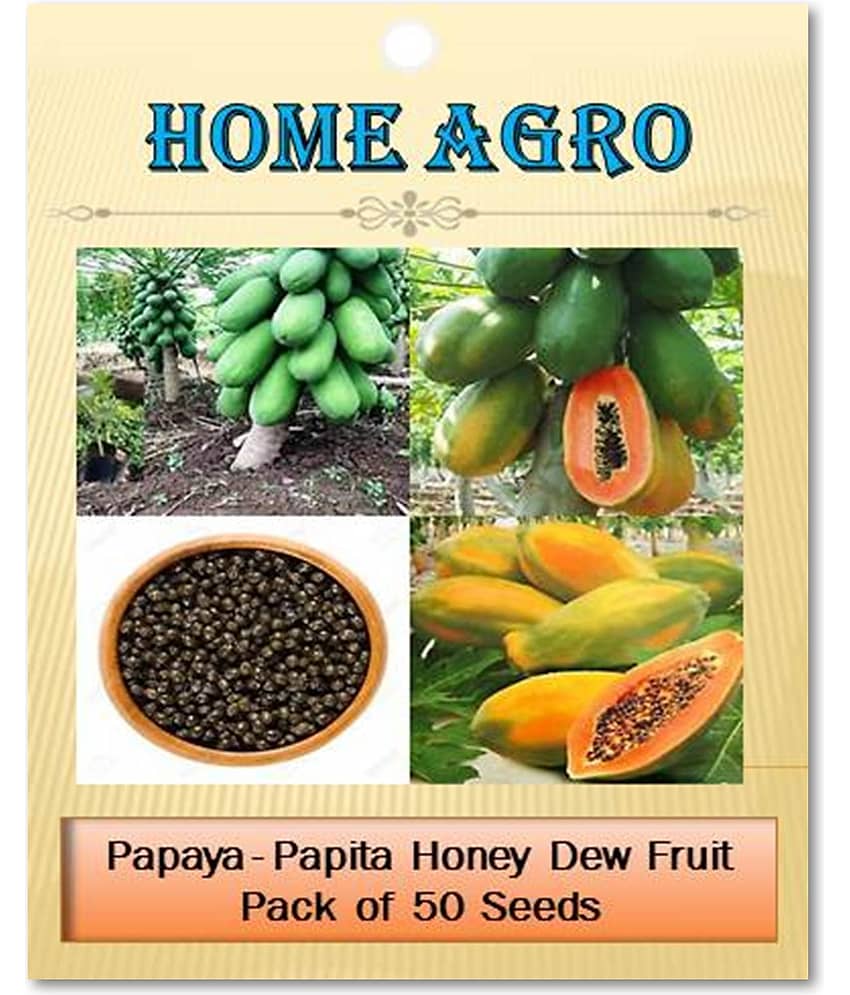 homeagro - Papaya Fruit ( 50 Seeds ) view 2
