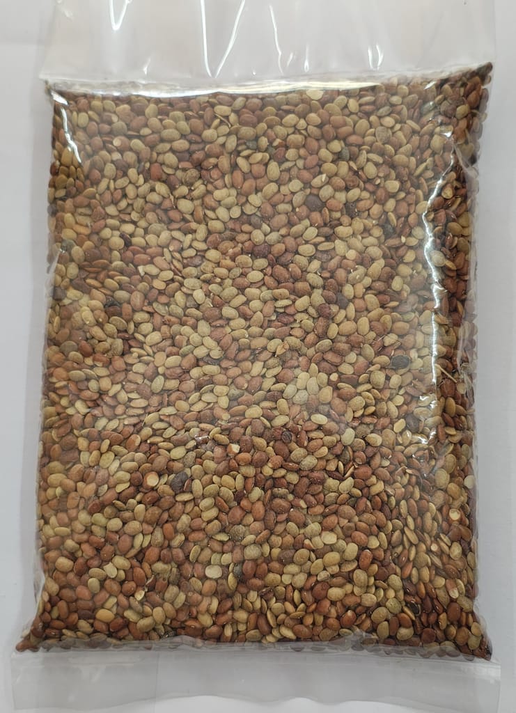 HORSE GRAM view 2