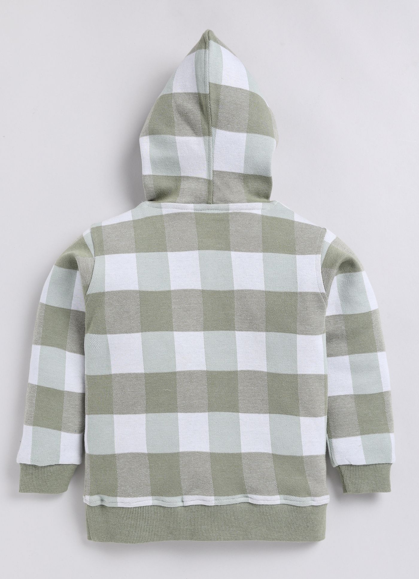 Green and White Checkered Full Sleeves Hooded Sweatshirt for Boys view 2