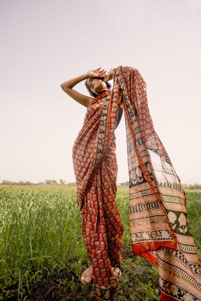 Roheda Gulab Syahi Begar Chanderi Saree view 2