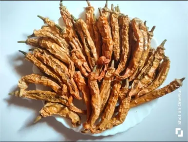 Sandhgi Mirchi view 2