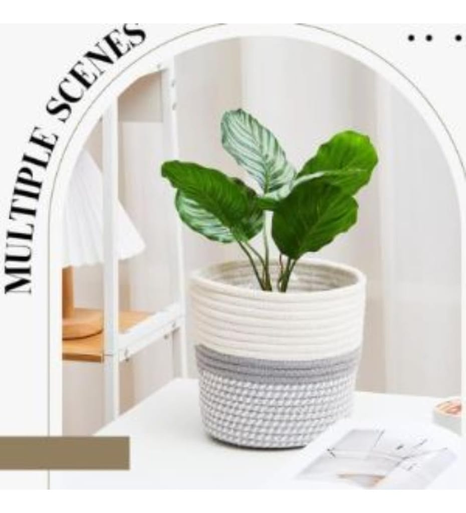 Generic Cotton Flower Pot With Out Lid (Gray-White)-PID66435 view 2