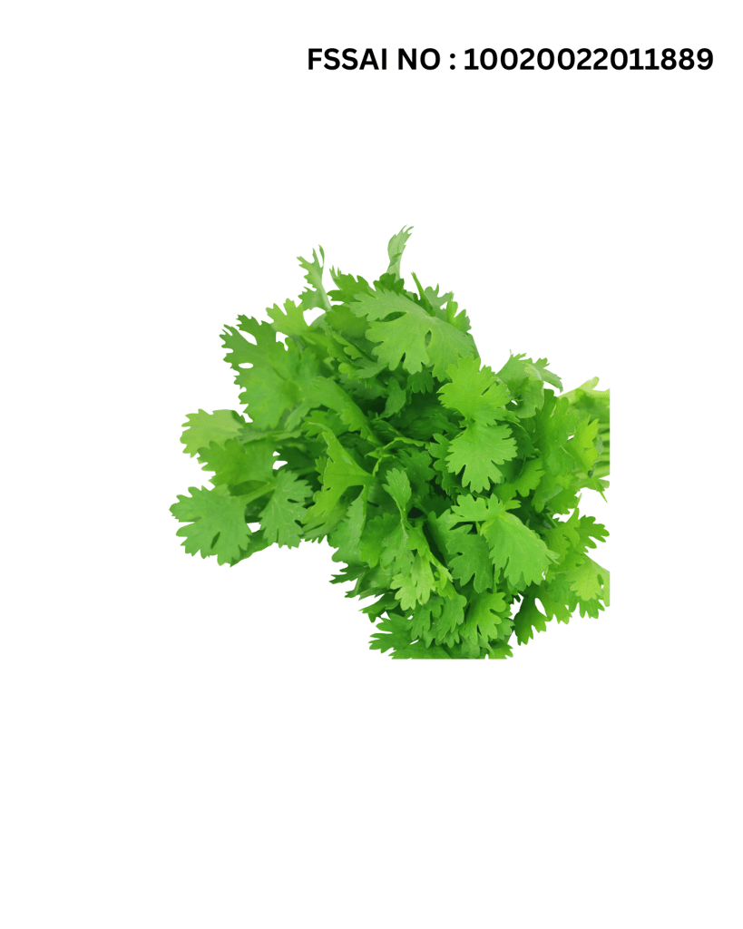 Coriander view 2