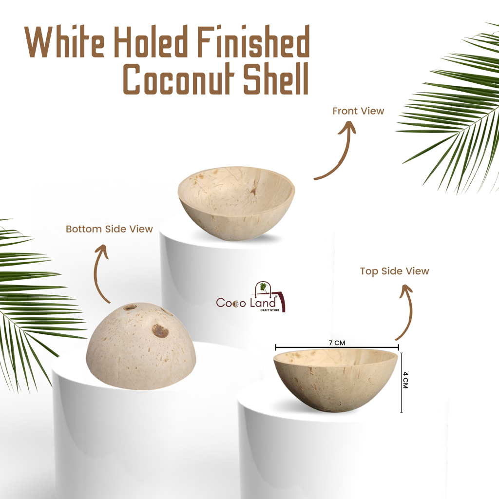 Coco Land White Holed Coconut Shell Finished Raw Craft | Decorative Pots,Craft Making | Handicraft,Agricraft view 2