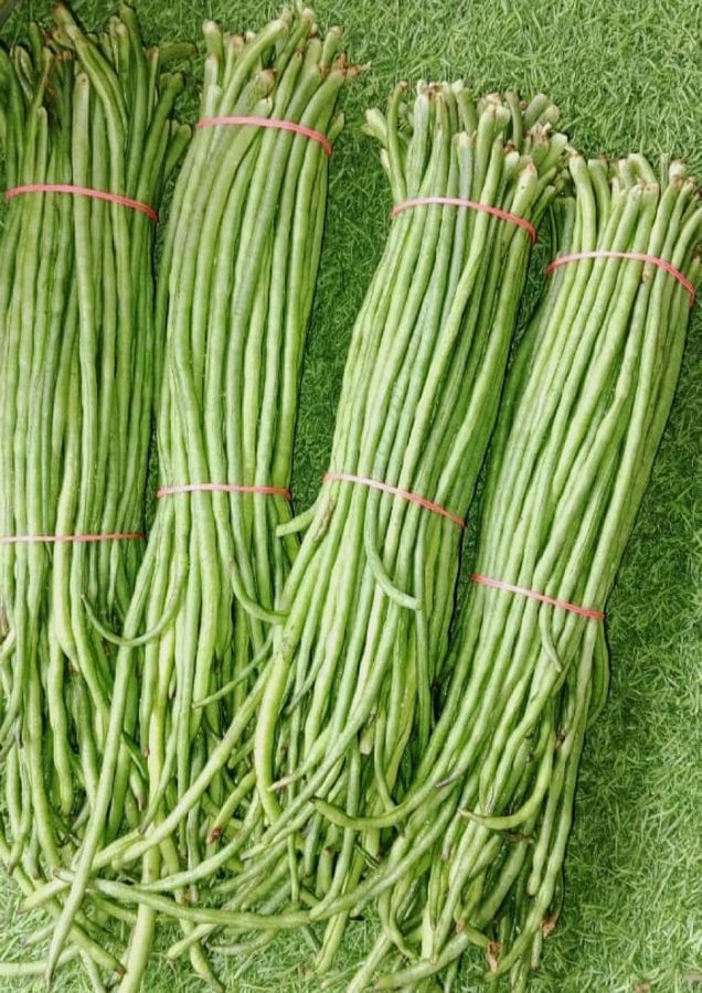 String Beans - 1 kg view 2