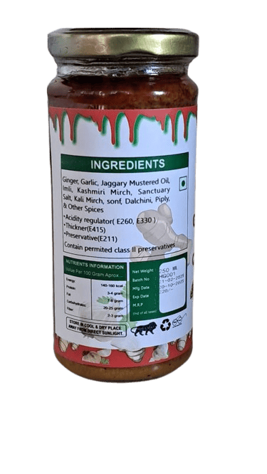 Ginger Garlic Chutney view 2