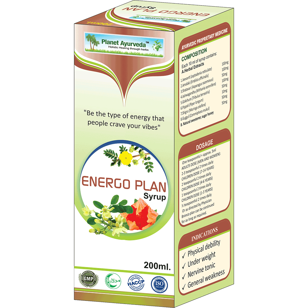 Planet Ayurveda Energo Plan Syrup [Pack of 3] - 200ml - Be the Energy You Want to Attract view 2