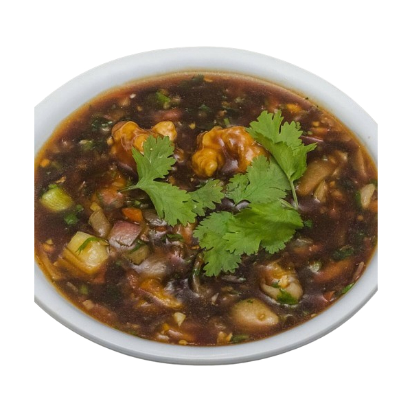 Chicken Manchurian Gravy view 2