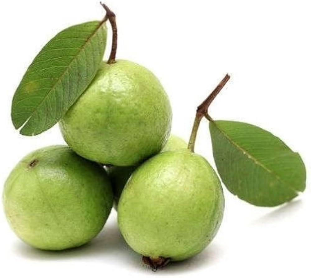 Guava 500 Gms