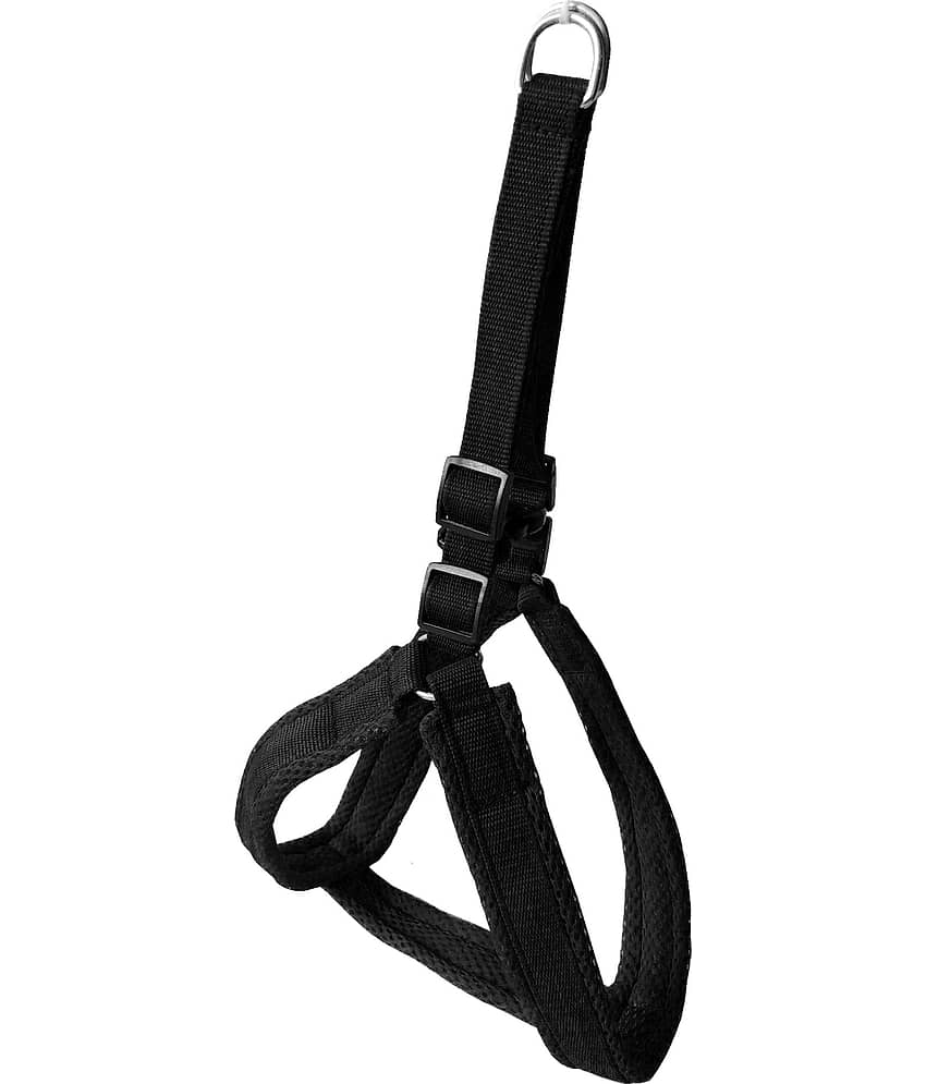 Petshop7 Mesh Padded Nylon Dog Harness & Leash Rope - Small (Chest Size - 25-34inch) view 2