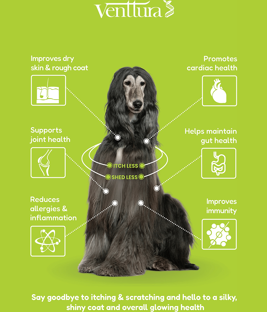 Venttura Omega+ for Dogs Healthy Skin (250ml) view 2