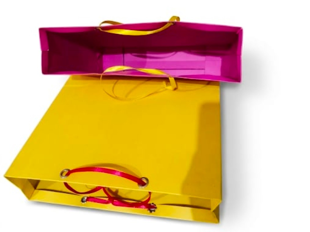 Return Gift Bags with Ribbon Handle (Pack of 5, Mixed Colors) view 2