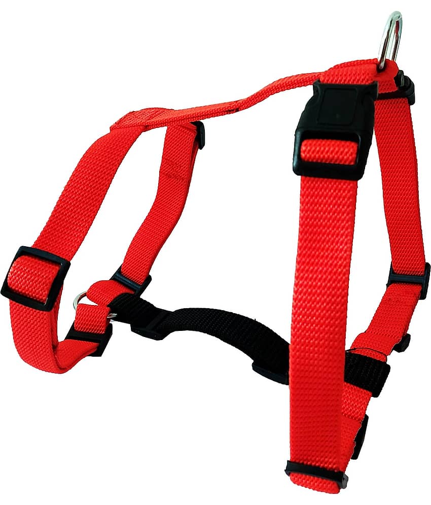 Petshop7 - Blue Harness ( Small ) view 2