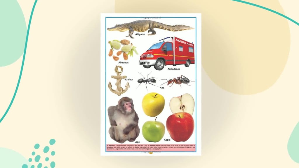 Kids Dictionary of 500 Words for Early Learners Age 2- 7 years - Illustrated Picture Dictionary, 82 Pages [Hardcover] Dreamland Publications [Hardcover] Dreamland Publications view 2