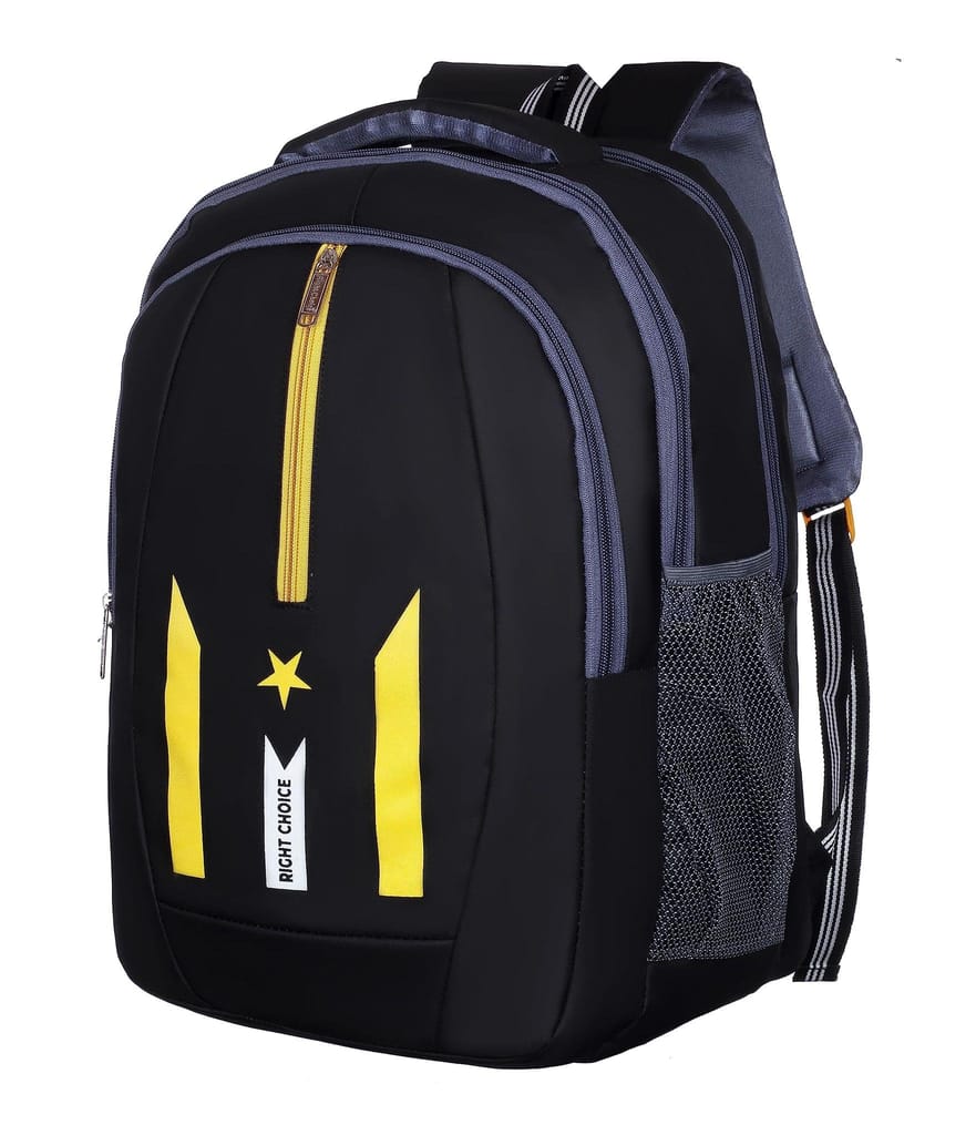 RIGHT CHOICE Large 45 L Laptop Backpack Daily use Large45LUnisex office/school/college Laptop Backpack Bags view 2