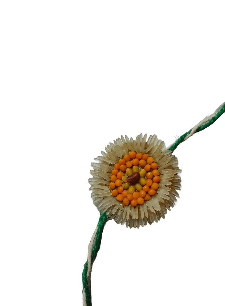 Eco-Friendly Rakhi With Gift view 2