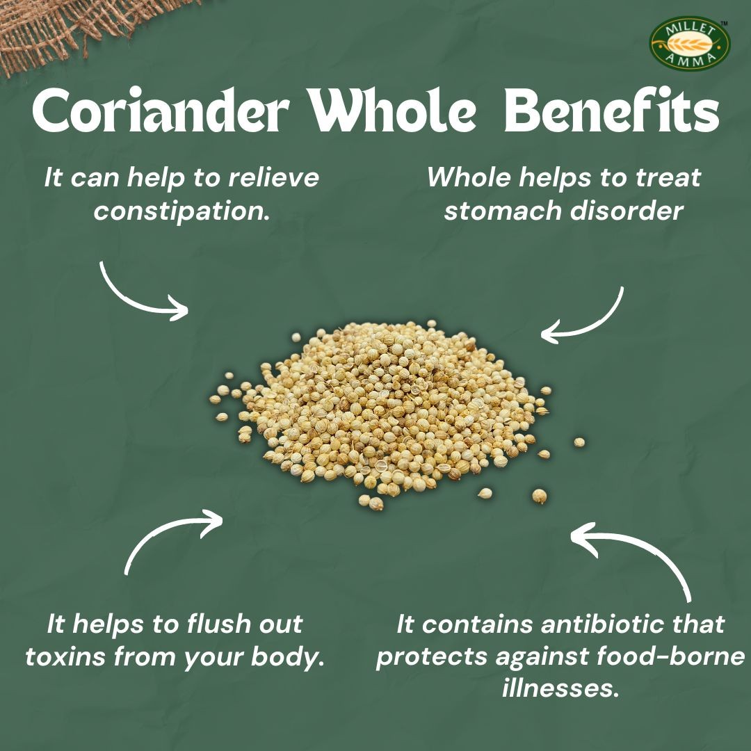 Coriander Whole view 2