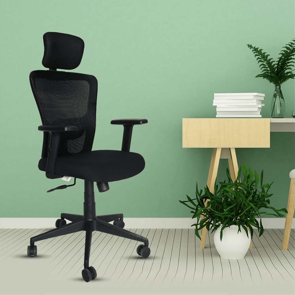 OOLIVE EAGLE OC110 Executive Ergonomic High Back Office Chair, Tailored for Superior Comfort