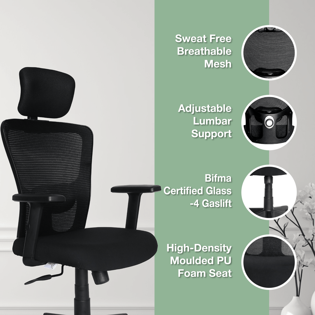 OOLIVE EAGLE OC110 Executive Ergonomic High Back Office Chair, Tailored for Superior Comfort view 2