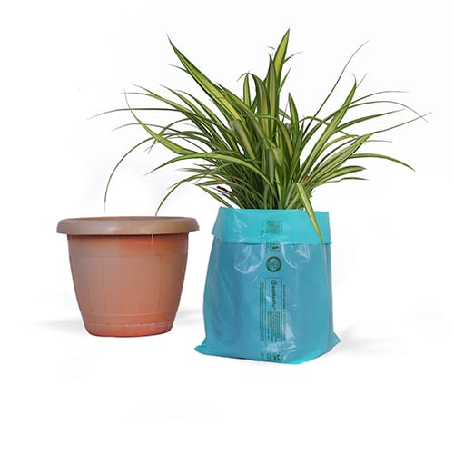100% Compostable Plant Grow Bags - 5 x9 inches - 165 Pcs/kg I Green colour I Pack of 3 KG view 2