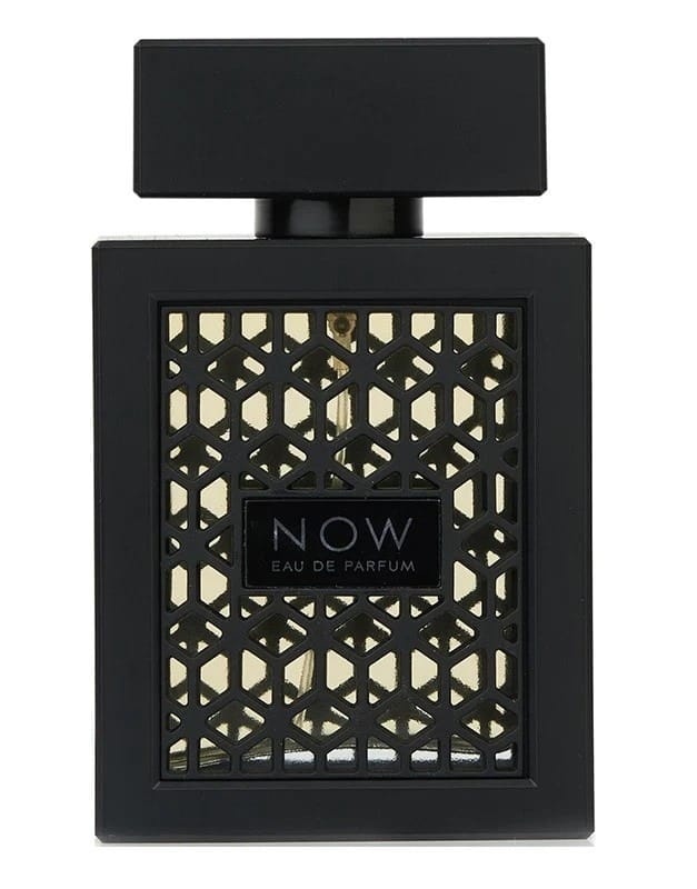 Rave Now Eau De Parfum 100ml – Fresh Fruity Woody Perfume For Men view 2