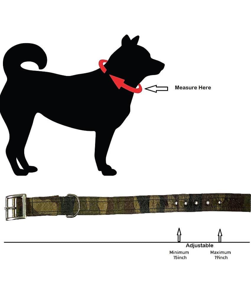 Petshop7 - Multicolor Dog Combo (Large) view 2