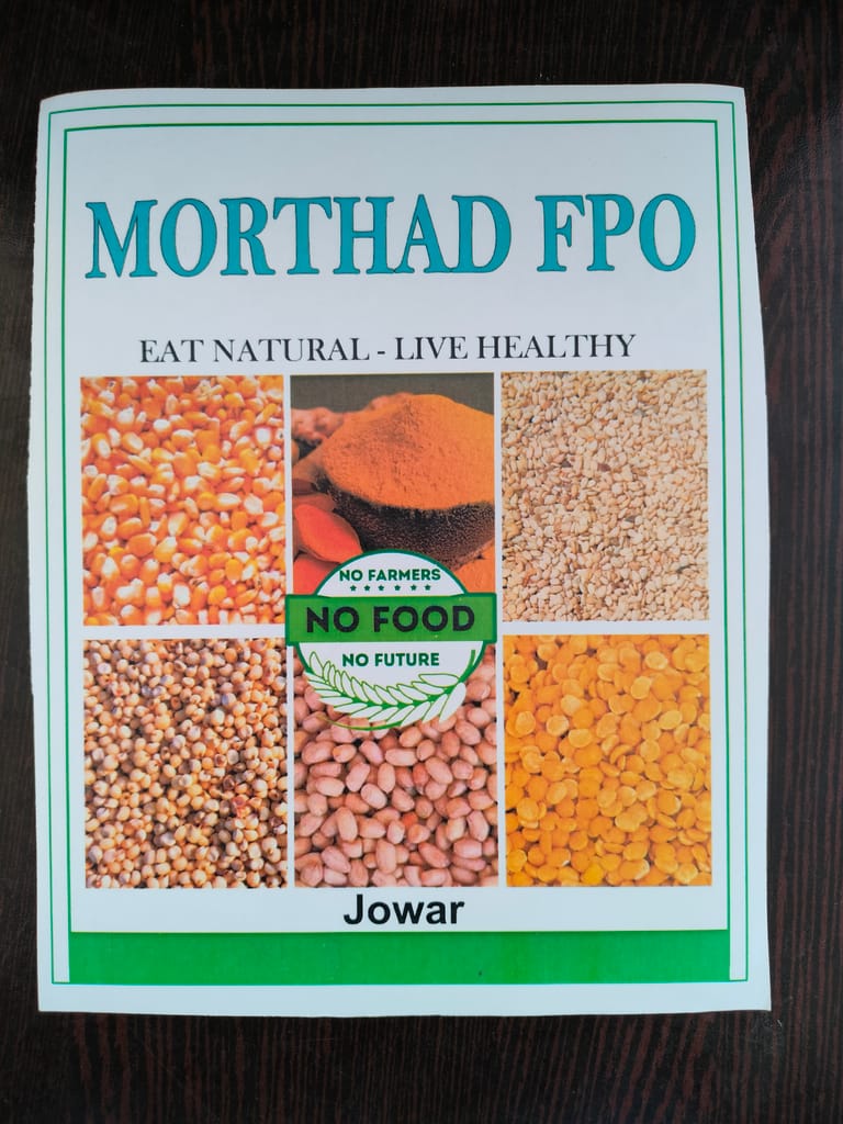 Organic Sorghum Seeds - 100% Natural, Gluten-Free, Non-GMO view 2