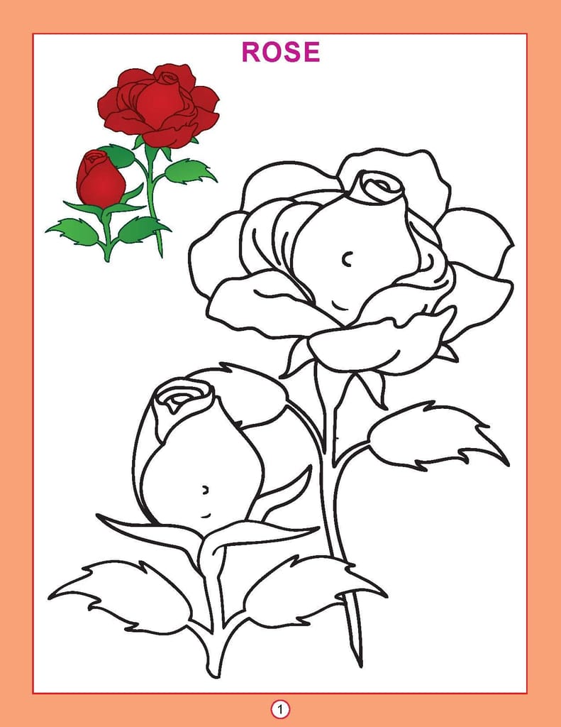 Copy Colour: Flowers (copy Colour Books) [Paperback] Dreamland Publications view 2