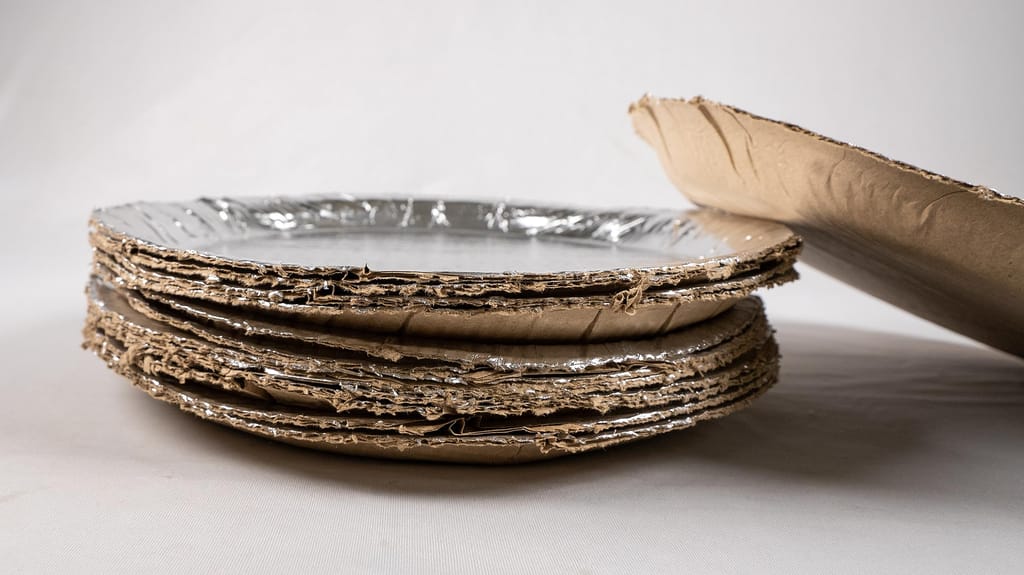 Paper Plates view 2