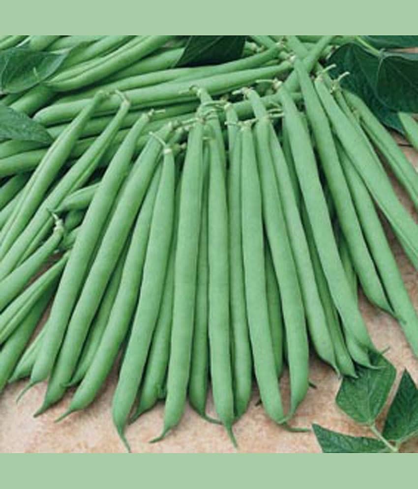 French Beans vegetables hybrid seeds | pack of 50 Seeds view 2